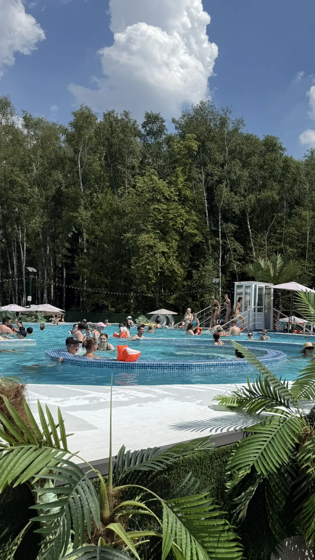 Эти солнечные праздничные выходные проводим с семьёй и с пользой ☀️

Вчера выгуливала своих мальчише
