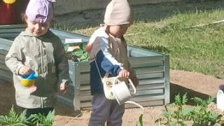 С чего начинается трудолюбие? С маленького семечка, которое ребенок сам закапывает в зе...