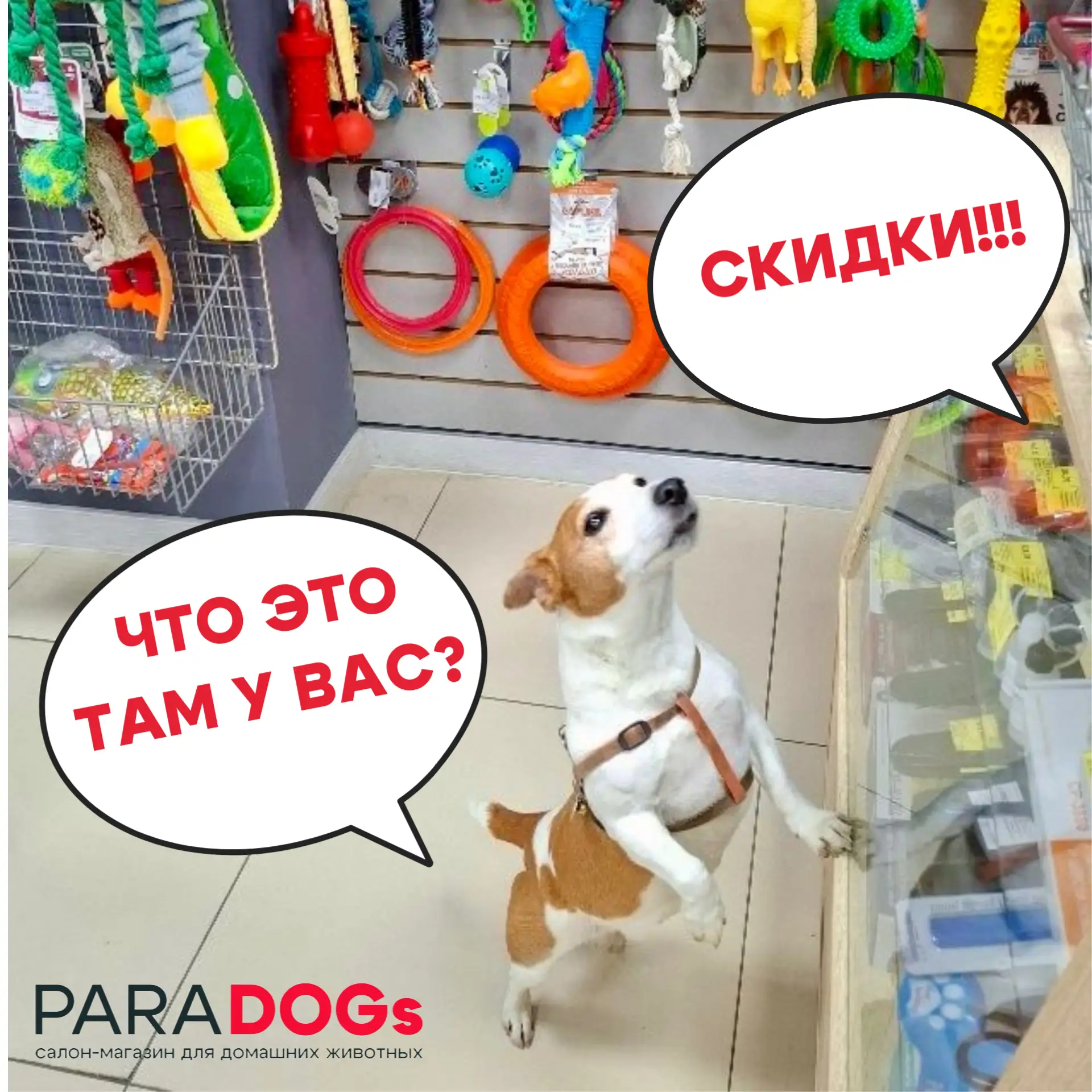 💭Простите, а что это там у вас? Скидки🔥

🐾Порадуйте своего любимца — весь июнь в зоосалонах PARAD