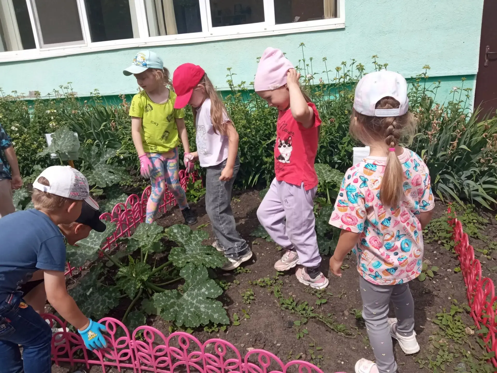 Наши кабачки! 🌱

Дошколята эколята нашего детского сада продолжают наблюдать за ростом кабачков на 