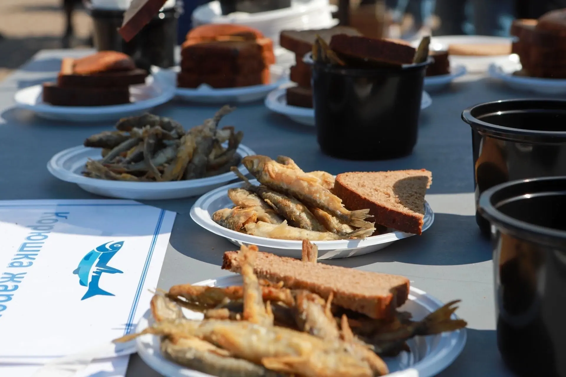 🐟 «Петровские города на Ладоге» и Фестиваль корюшки: путешествие со вкусом истории и в...