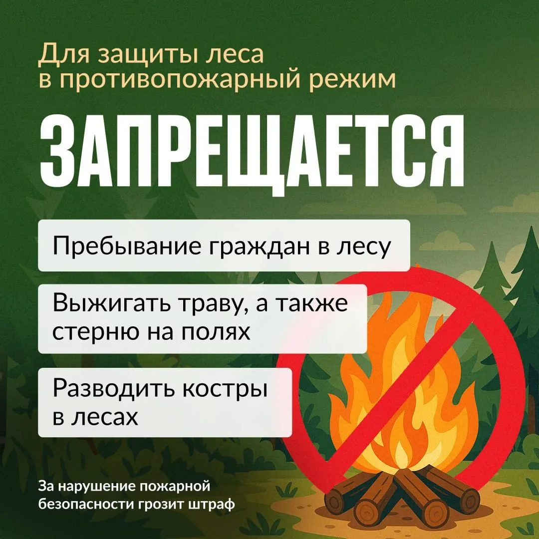 ️В Туве противопожарный режим продлили до 6 сентября