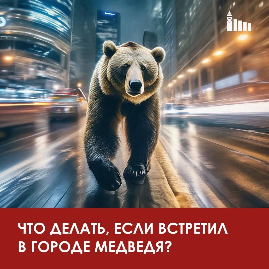 🐻Может пригодиться: что делать при встрече с медведем
