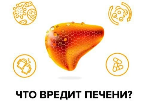 Советы для здоровья печени

1. Пейте достаточное количество воды, чтобы помочь печени справляться с 