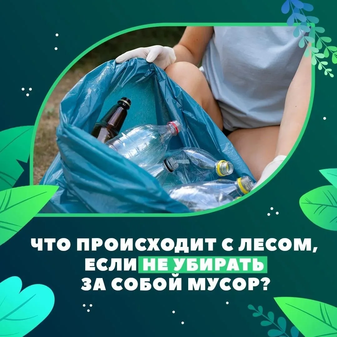 🌲 Что происходит с сахалинским лесом, когда на поляне остается чужой мусор?