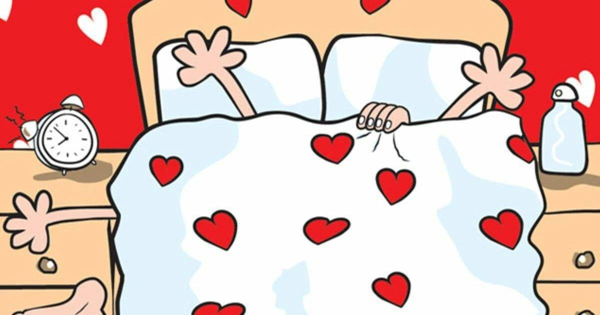 Первая ночь после свадьбы. Родители невесты просыпаются от крика из другойкомнаты: