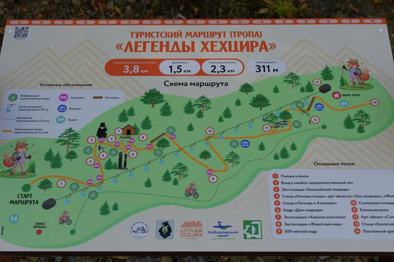 Иностранцев проверили на стройках и в кафе