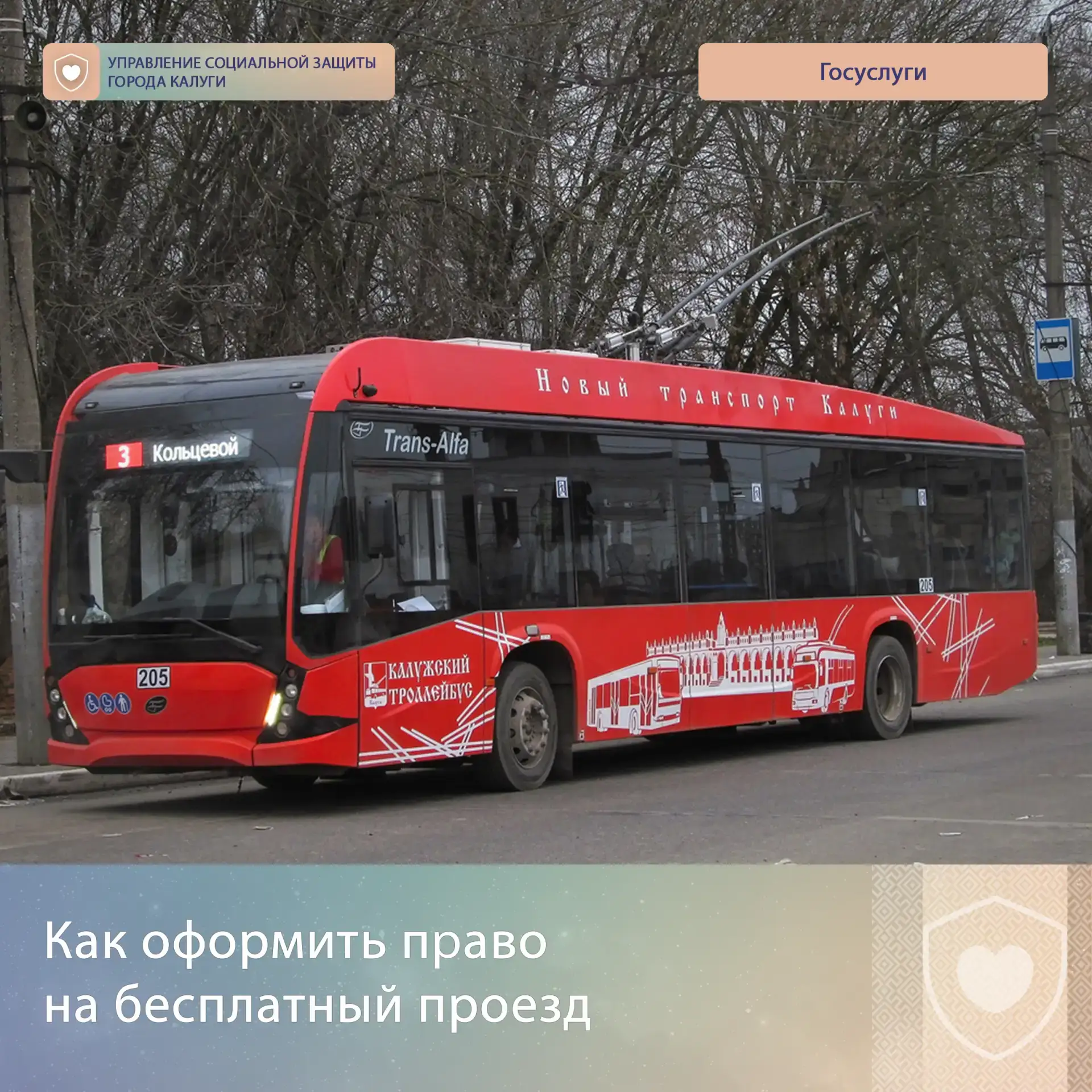 ❓Как оформить право на бесплатный проезд в городском транспорте общего пользования в го...