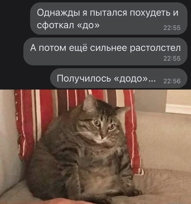 АНАЛИЗЫ ХУДЕЮЩИМ