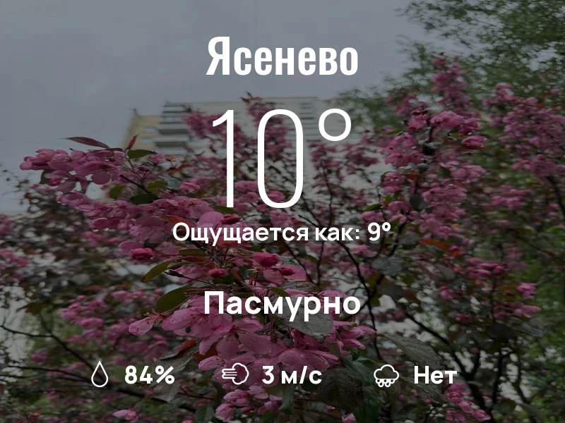 Что с погодой в Ясенево?