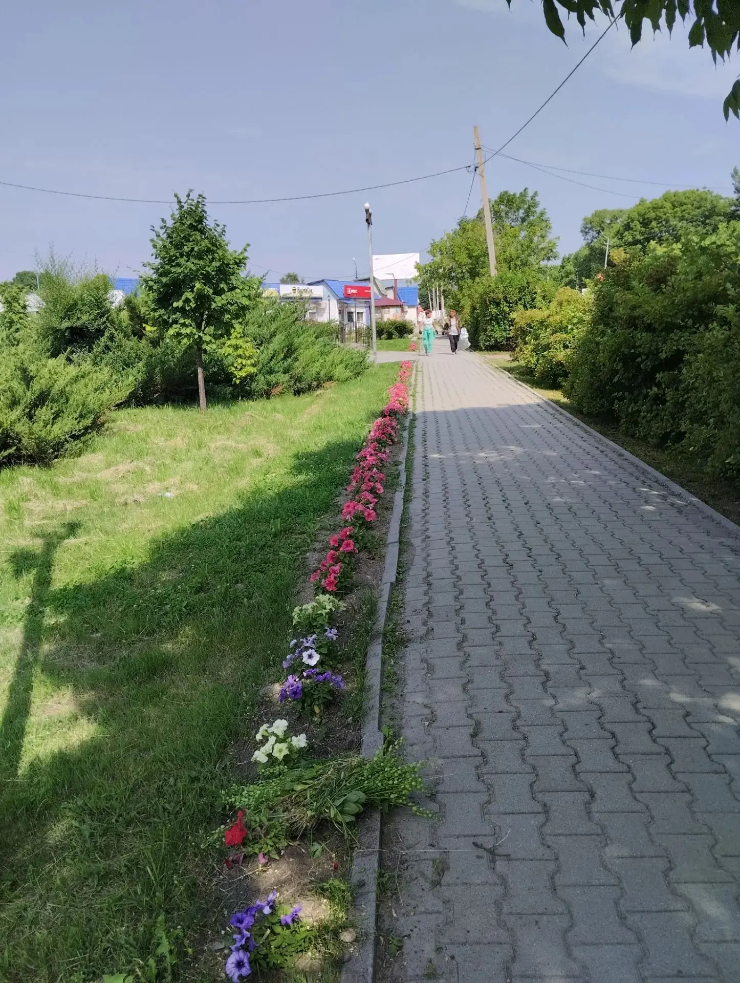 🌳🚜💡Деятельность МКУ «Служба благоустройства Черниговского МО» направлена на повышение уровня комф