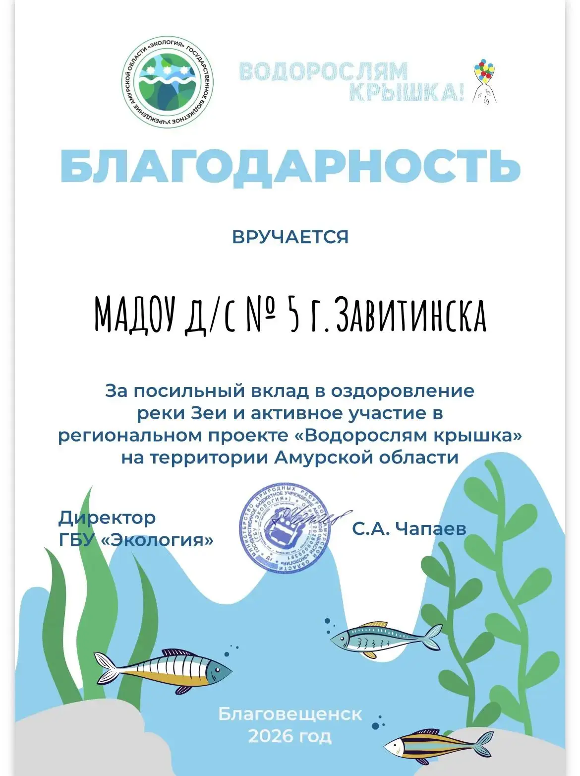 Внимание! Завершение акции «Водорослям — крышка»

Дорогие  родители, дети и сотрудники детского сада