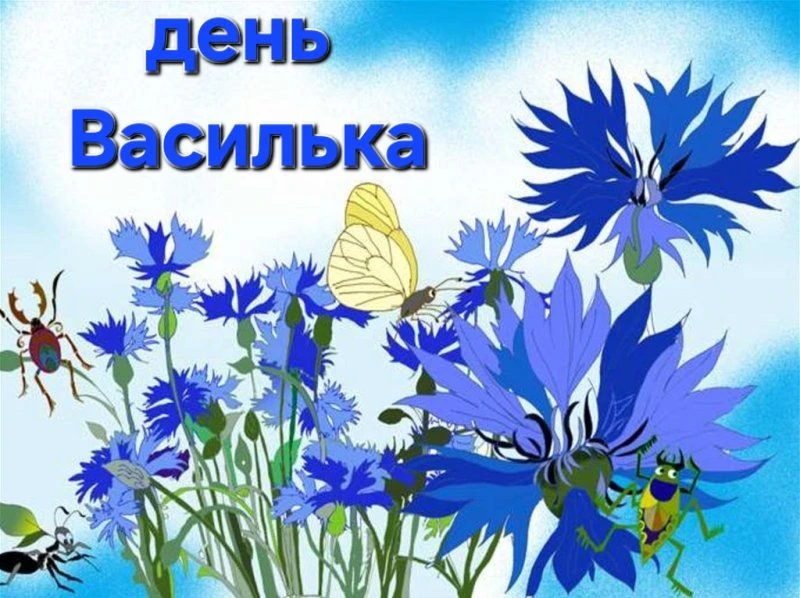 День василька