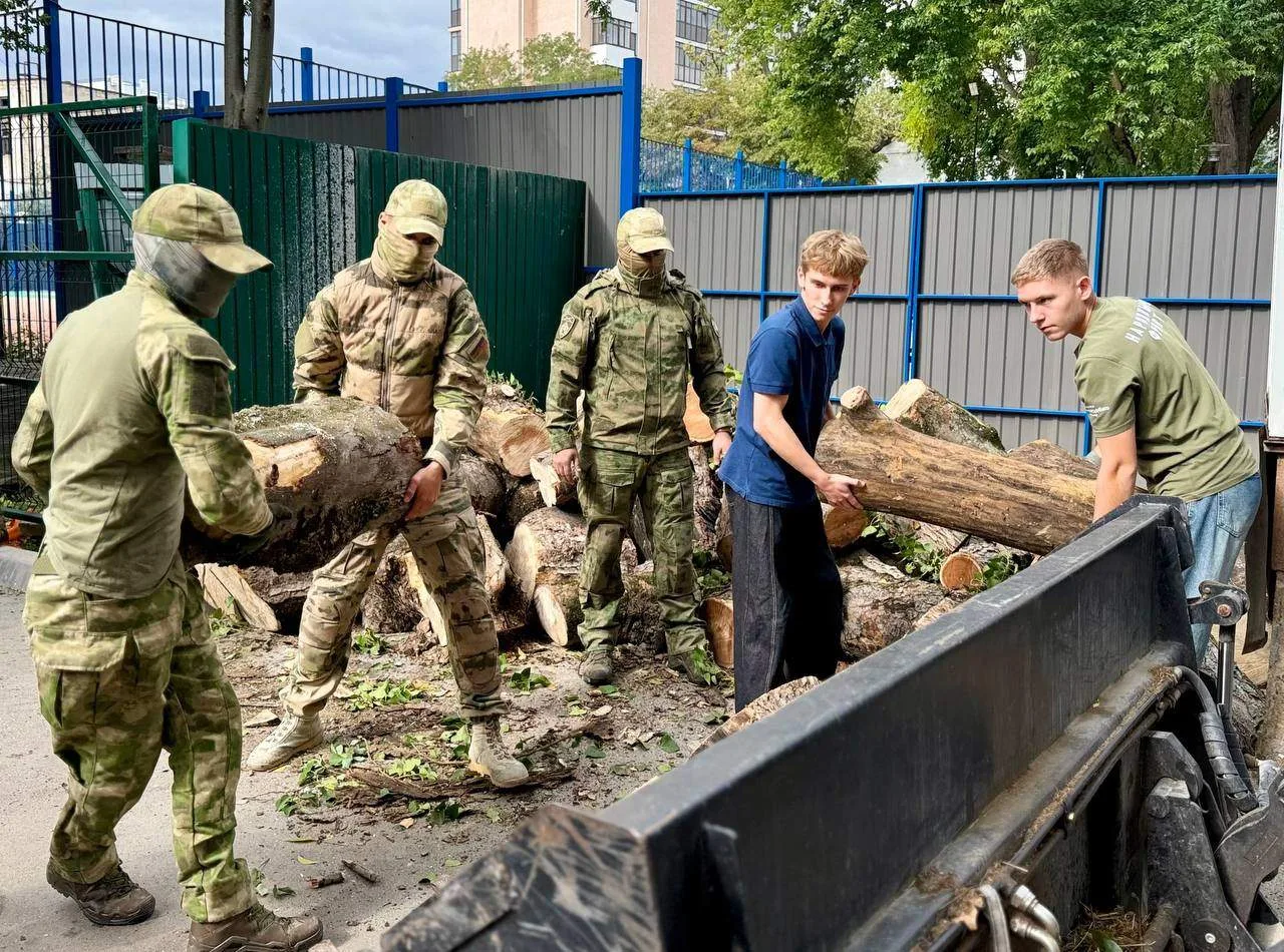 🪵 Дрова из симферопольских парков снова отправились бойцам
