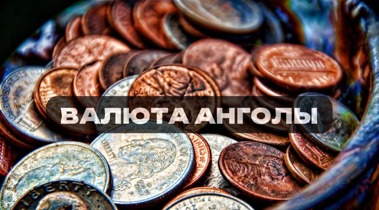 Кванза   👌