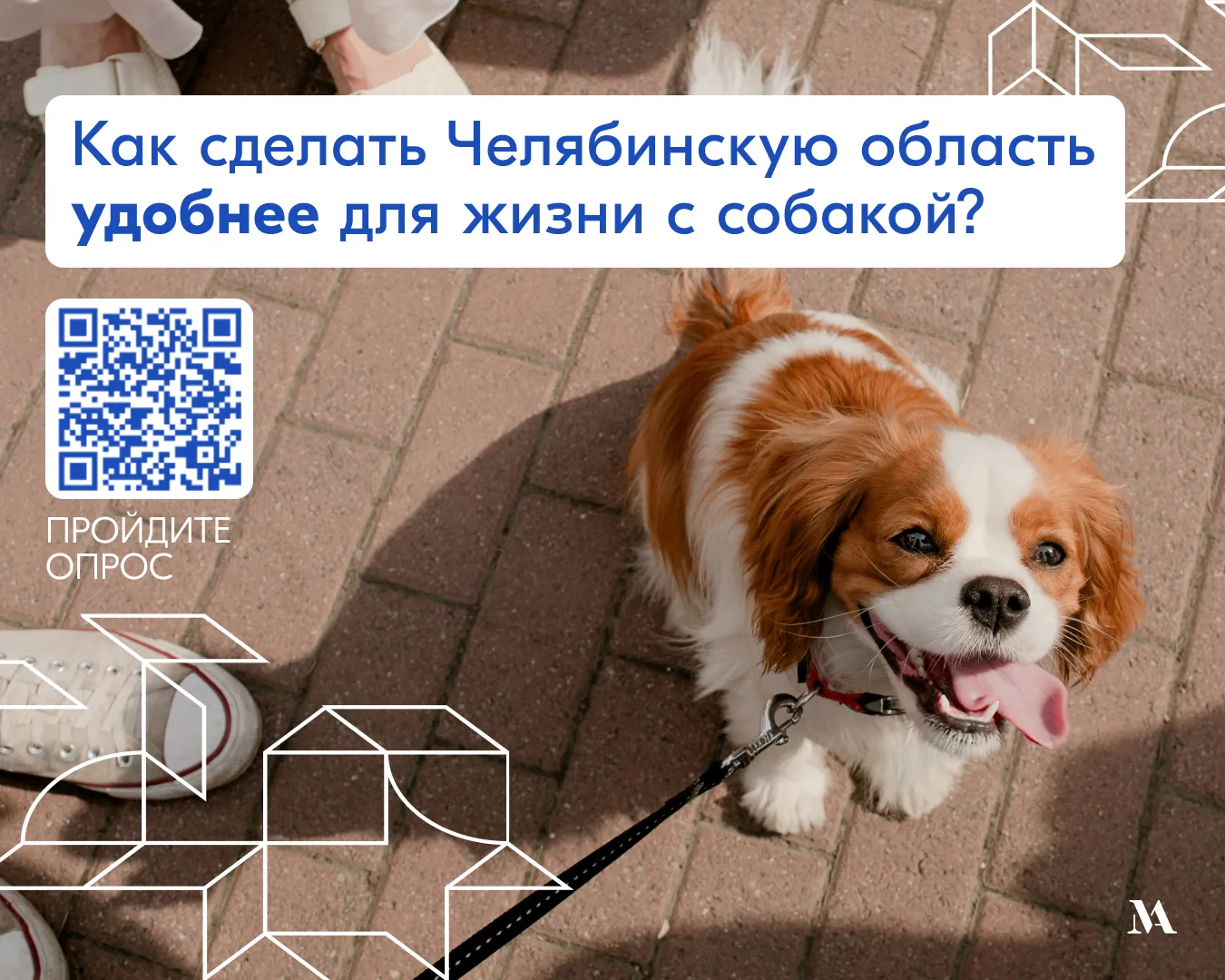 Что сделать, чтобы в Челябинской области было удобно жить с собакой? Запустили опрос