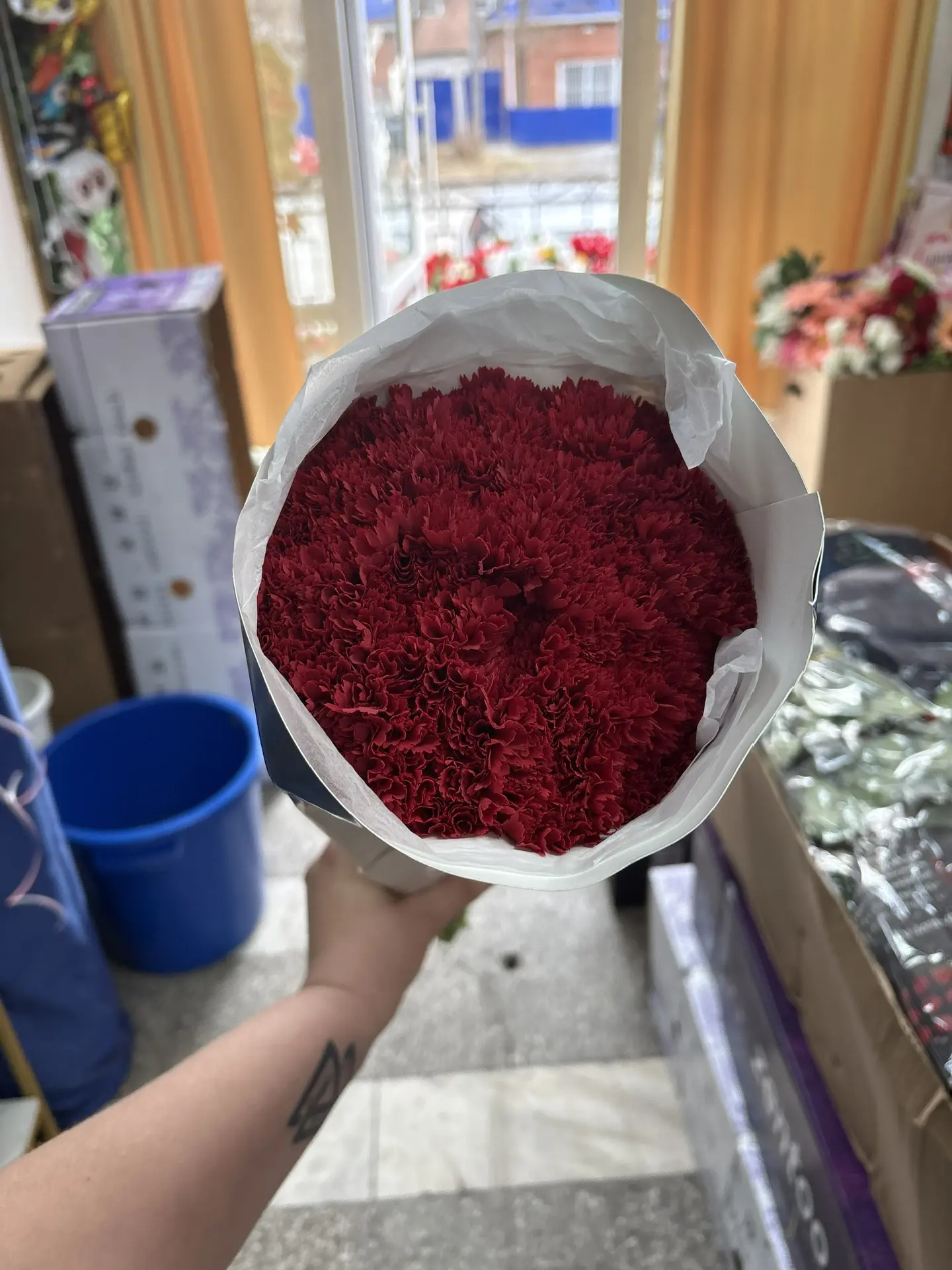 Шикарная гвоздика 😍