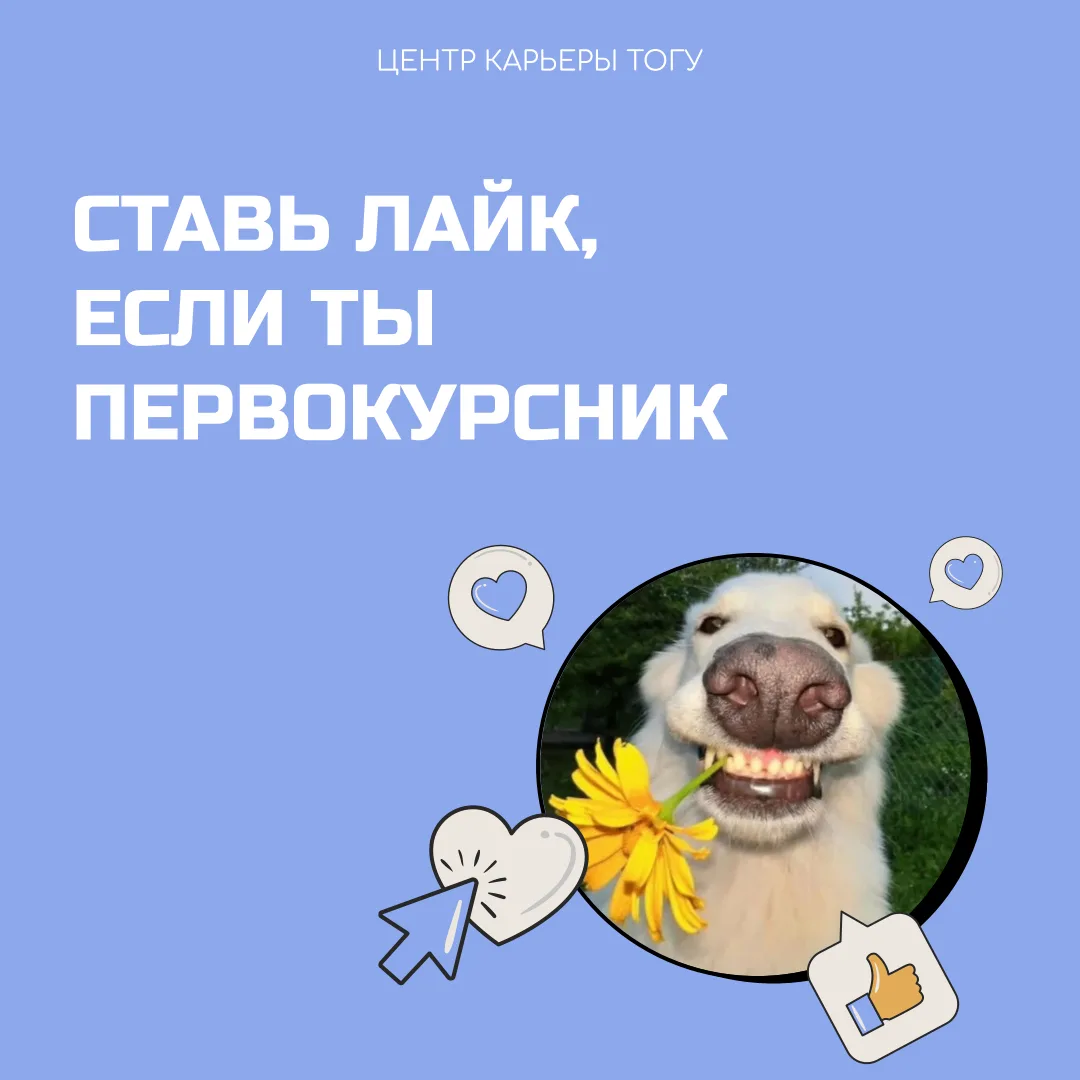 Первокурсники, вы тут?