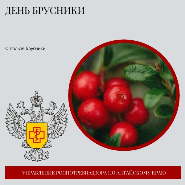 🫐День брусники