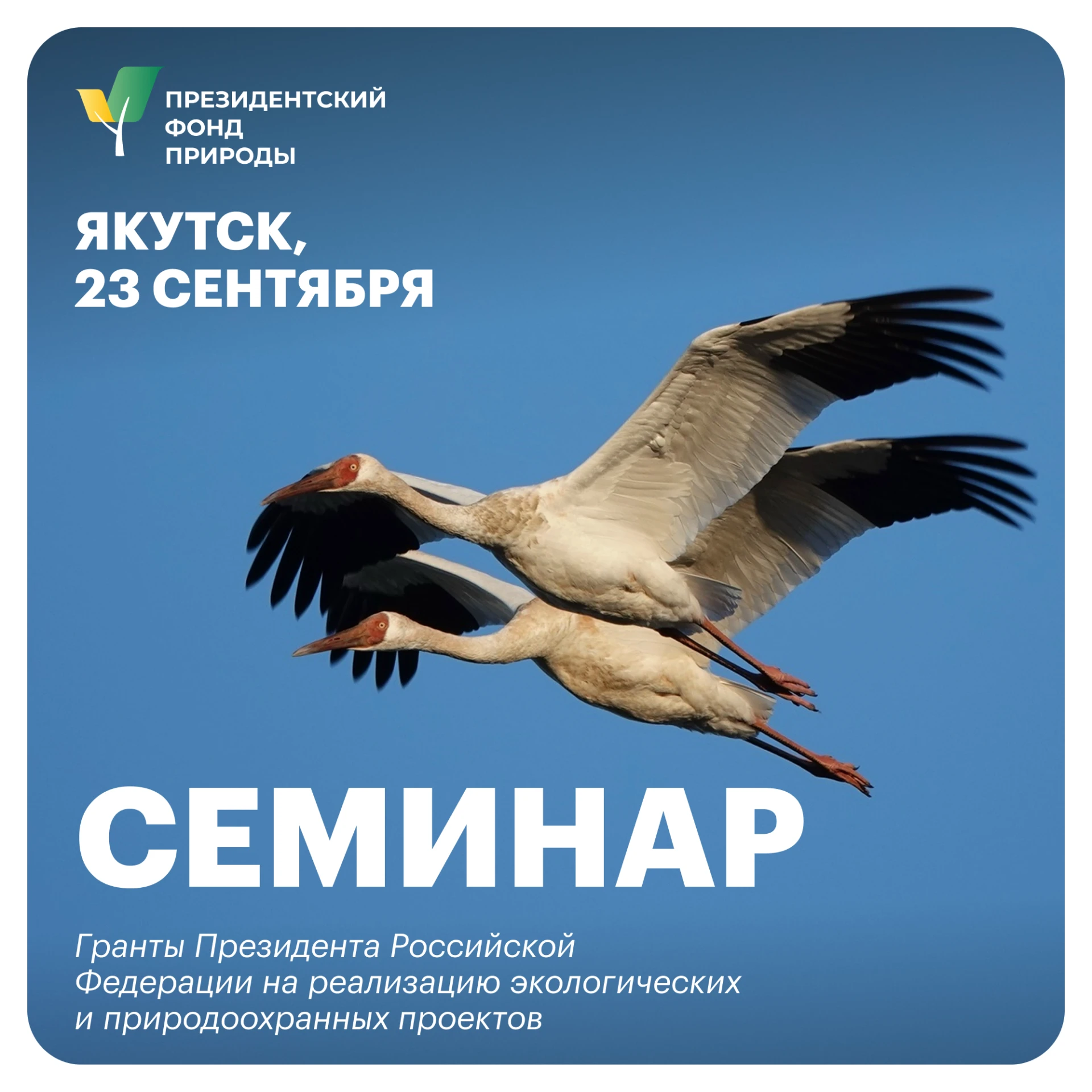 💚 Семинар Президентского фонда природы в Якутске