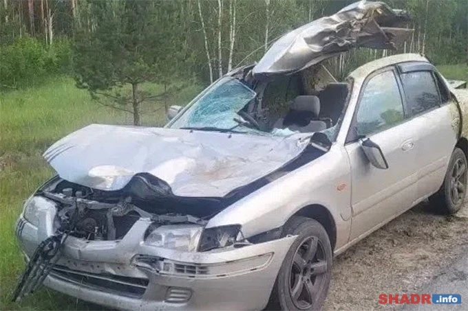 Смертельное ДТП в Кетовском округе: наезд на лося привёл к гибели пассажира

ДТП произошло 14 июня о