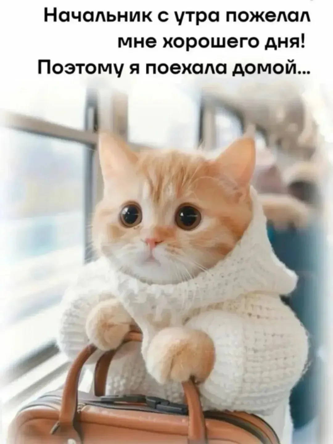 💐ЖИВАЯ СКАЗКА 💐