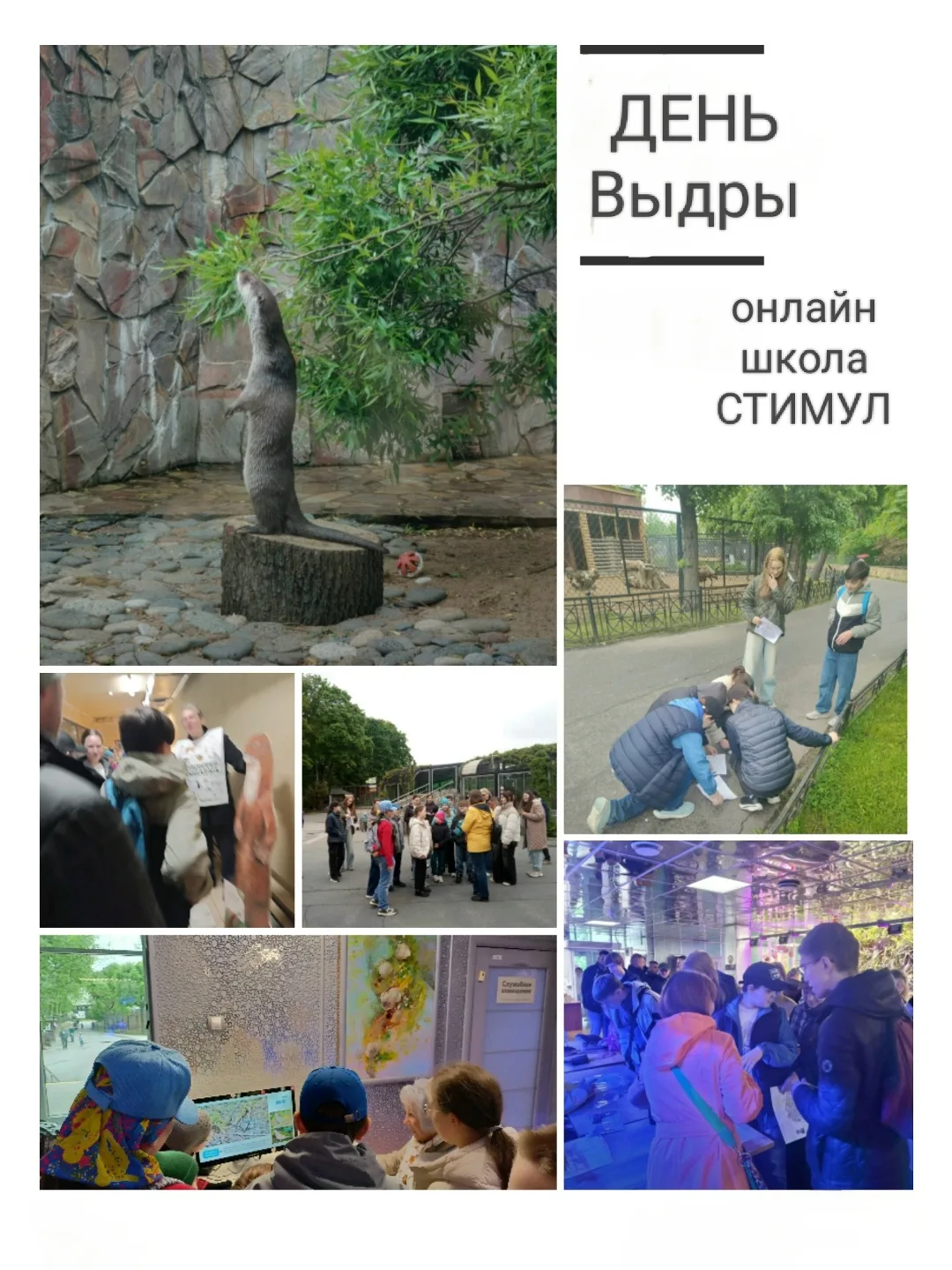 Традиционно мы отмечаем конец учебного года праздником "День Тома Сойера". Но в этом го...