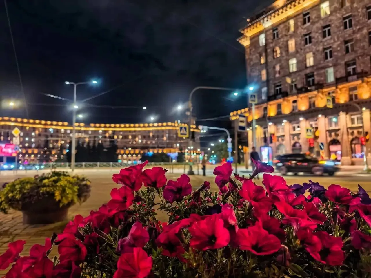 ❤Комсомольский сквер, Палевский сад.