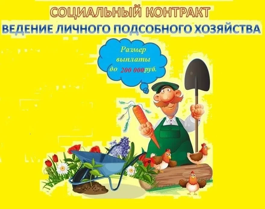У вас есть земля, но нет денег на саженцы или кур? Государство даёт до 200 000 ₽! 🐔🍓