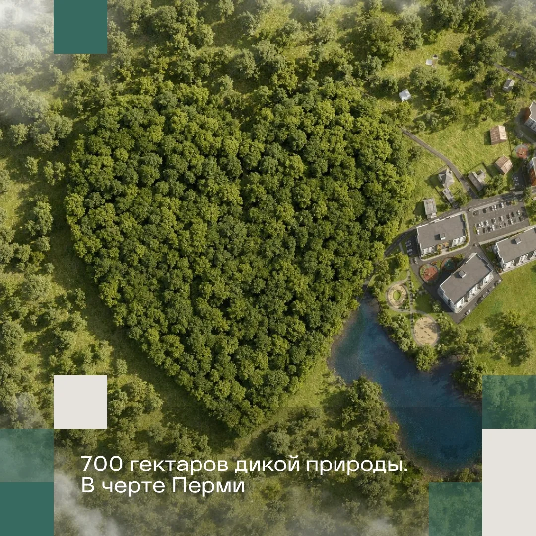 700 гектаров. Почти тысяча футбольных полей. Совы, лисы, куницы и сотни видов птиц.