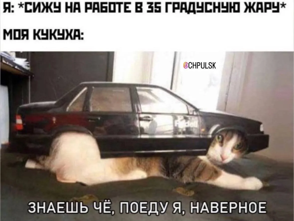 🥵 Рабочий день могут сократить из-за жары, если в помещении нет кондиционера, сообщили...