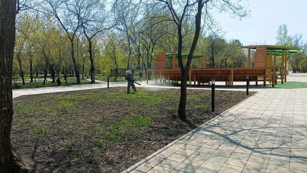 🪲 Противоклещевая обработка городской территории.