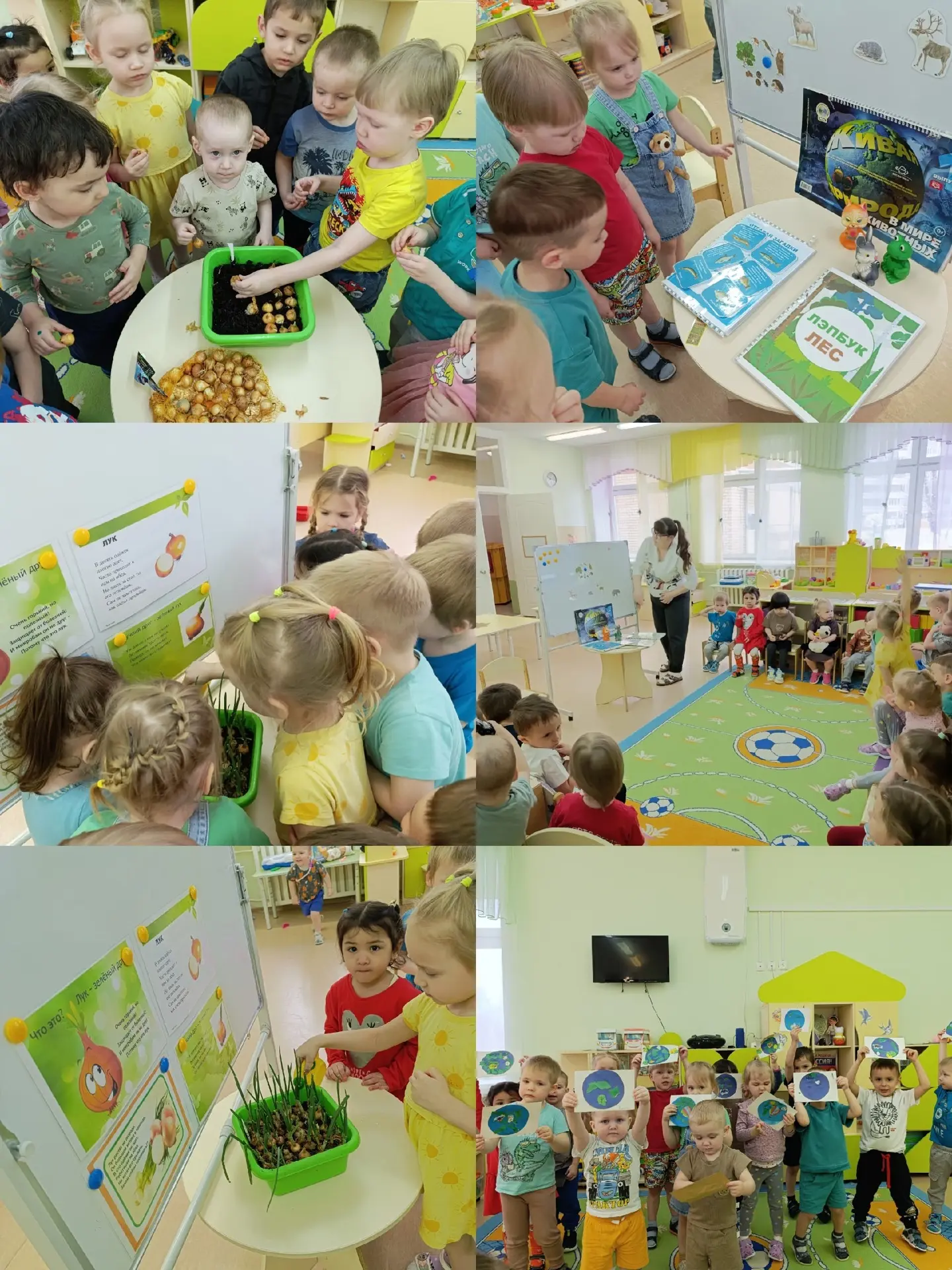 На прошлой неделе в младшей группе №13 царила настоящая магия природы — прошла Неделя экологии!  Мал