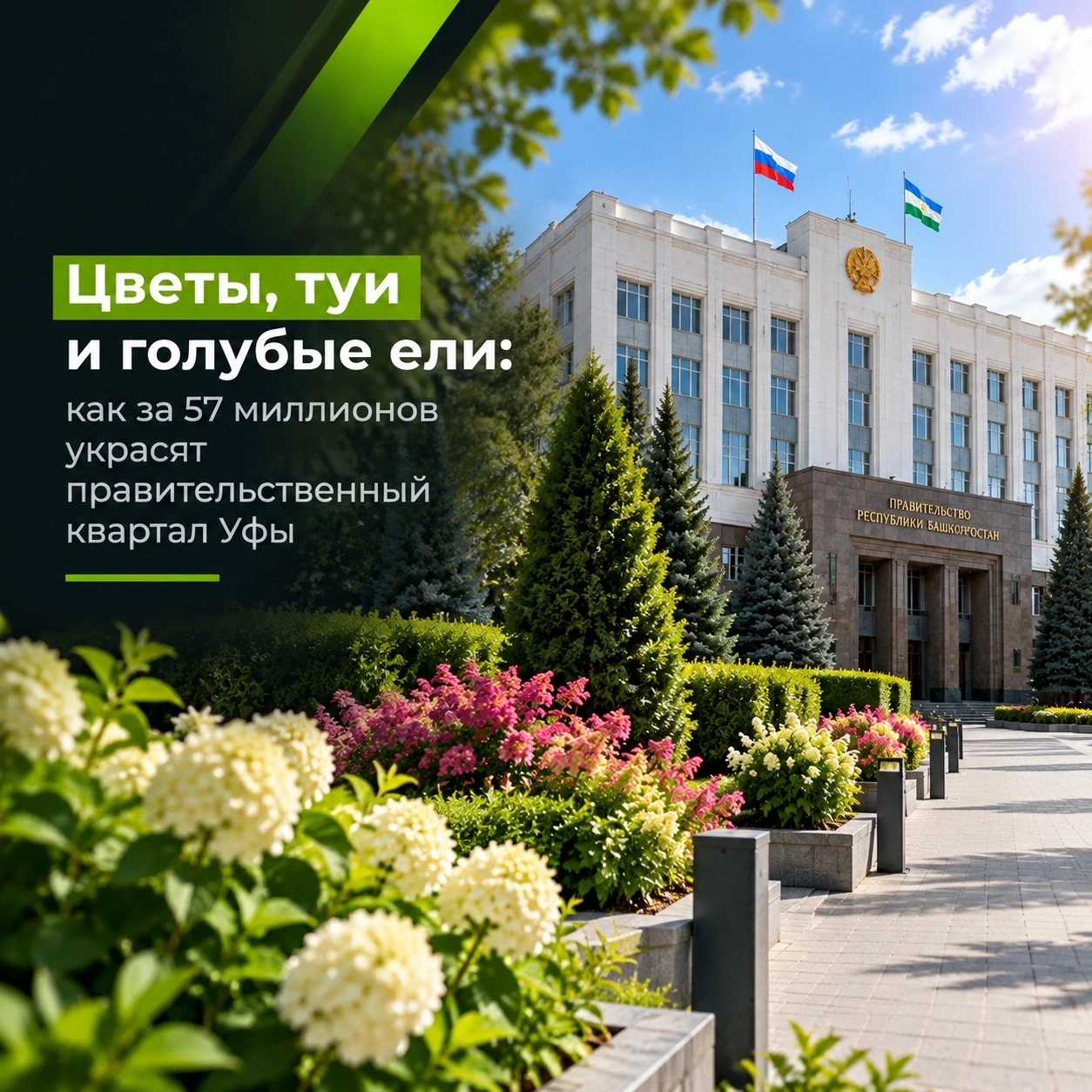 Ели по 24 тысячи: в Уфе рассказали, как потратят 58 миллионов на озеленение