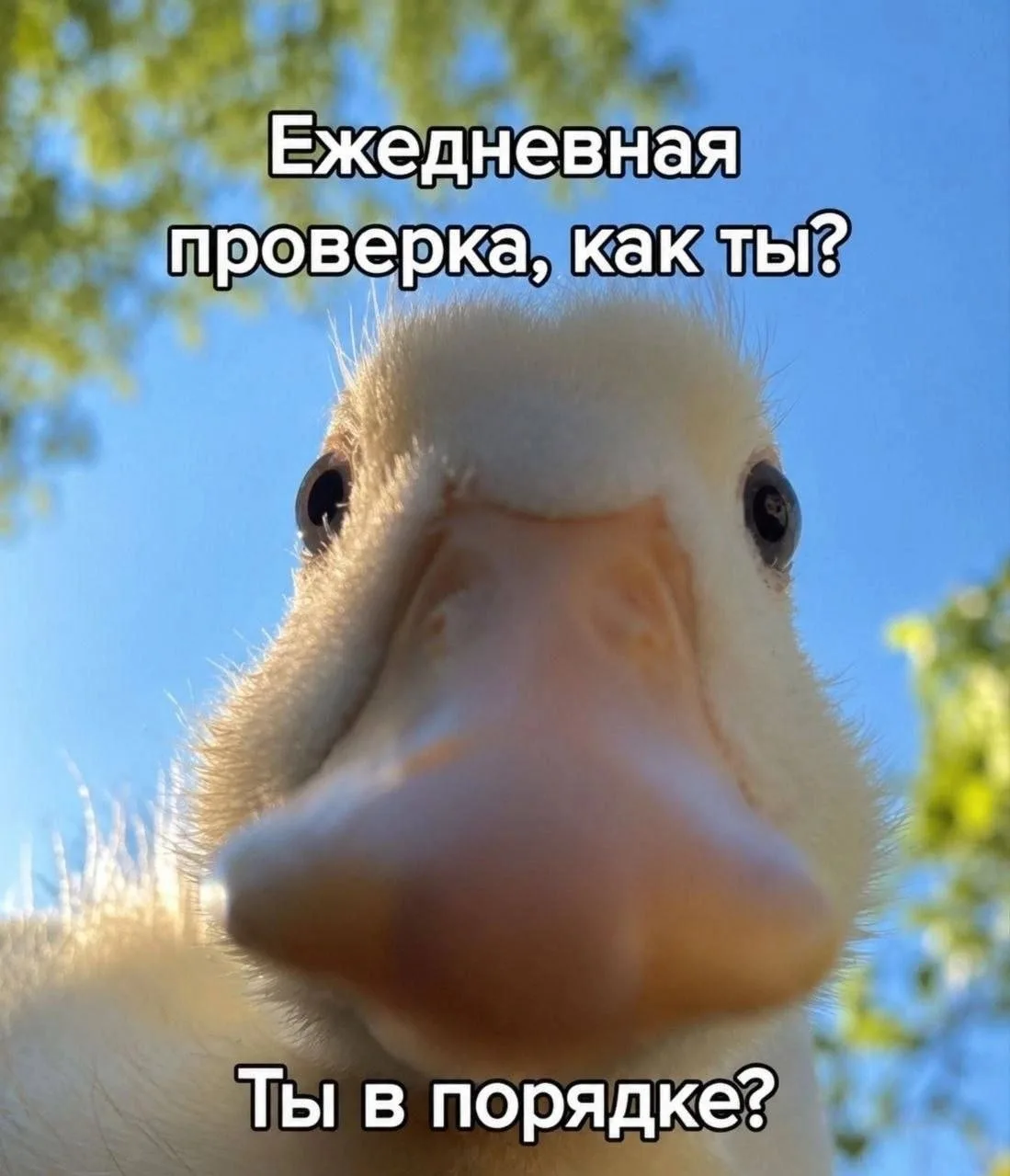 Думаем о вас!☺️