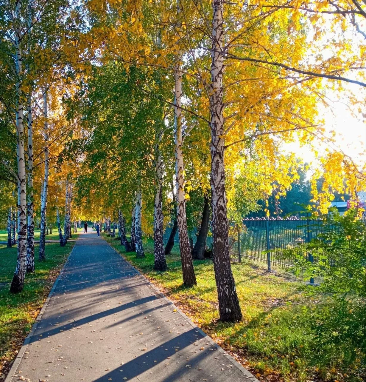 Доброе утро, Рубцовск✌️