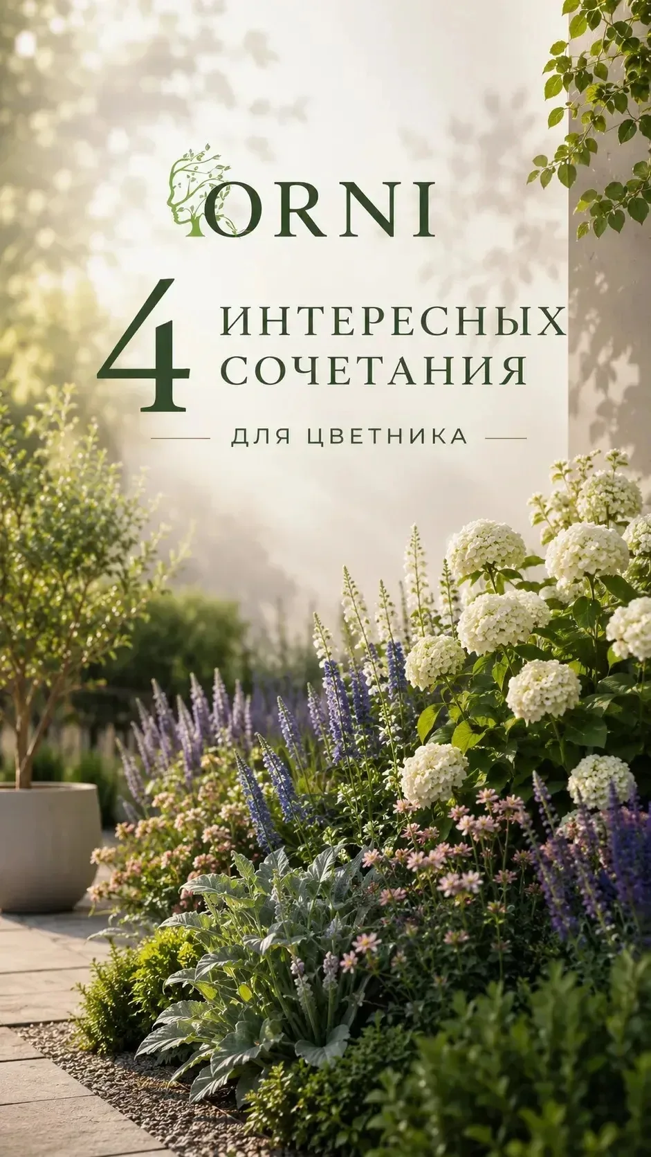 Интересное сочетание для ваших цветников, сохраняйте, чтобы не потерять ✅️