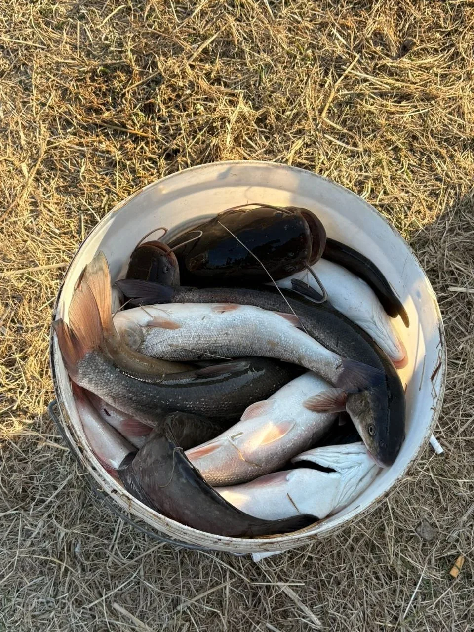 От Рыбака 🎣