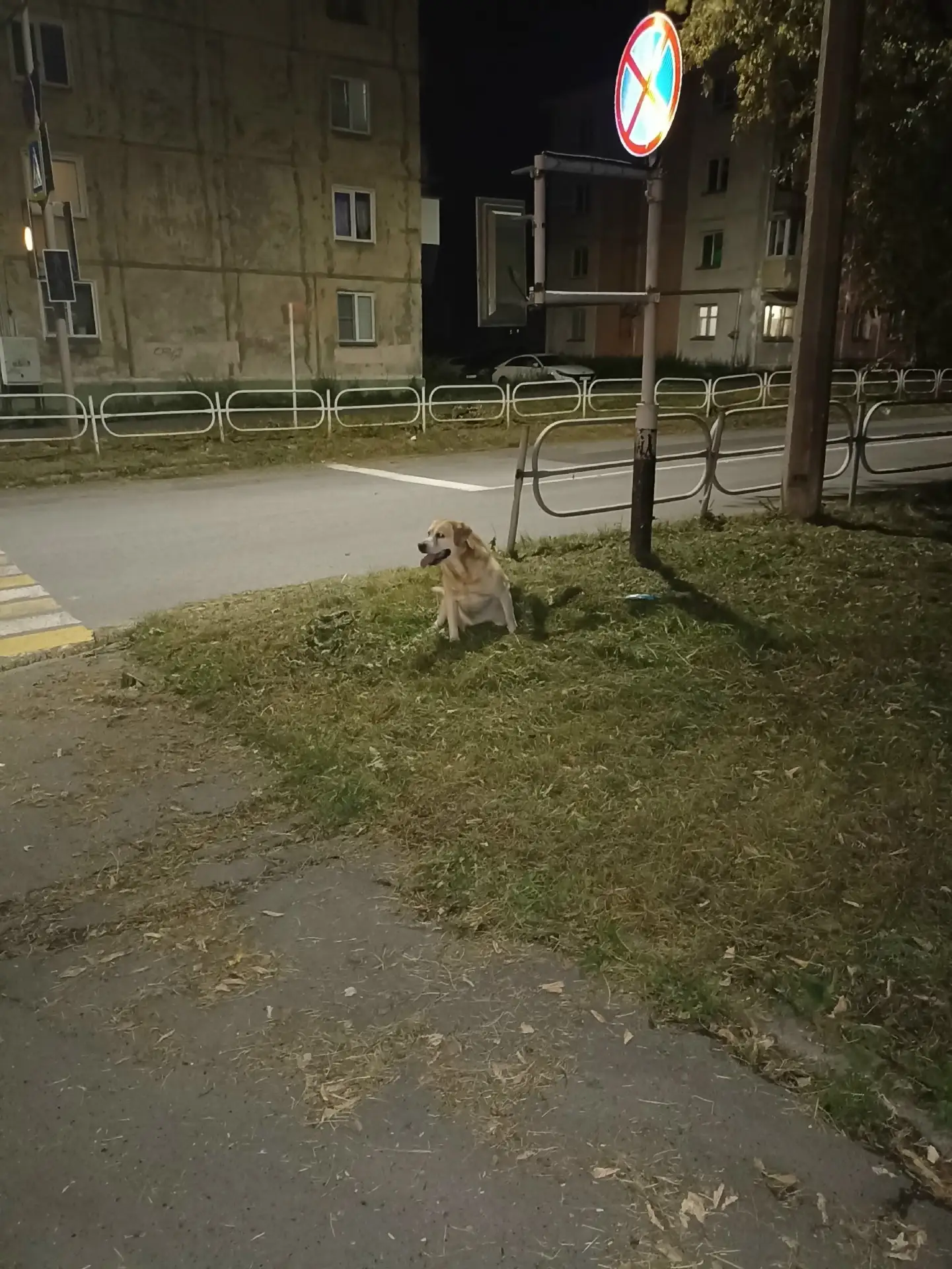 Здравствуйте, кажется, что у кого-то потерялся пёс