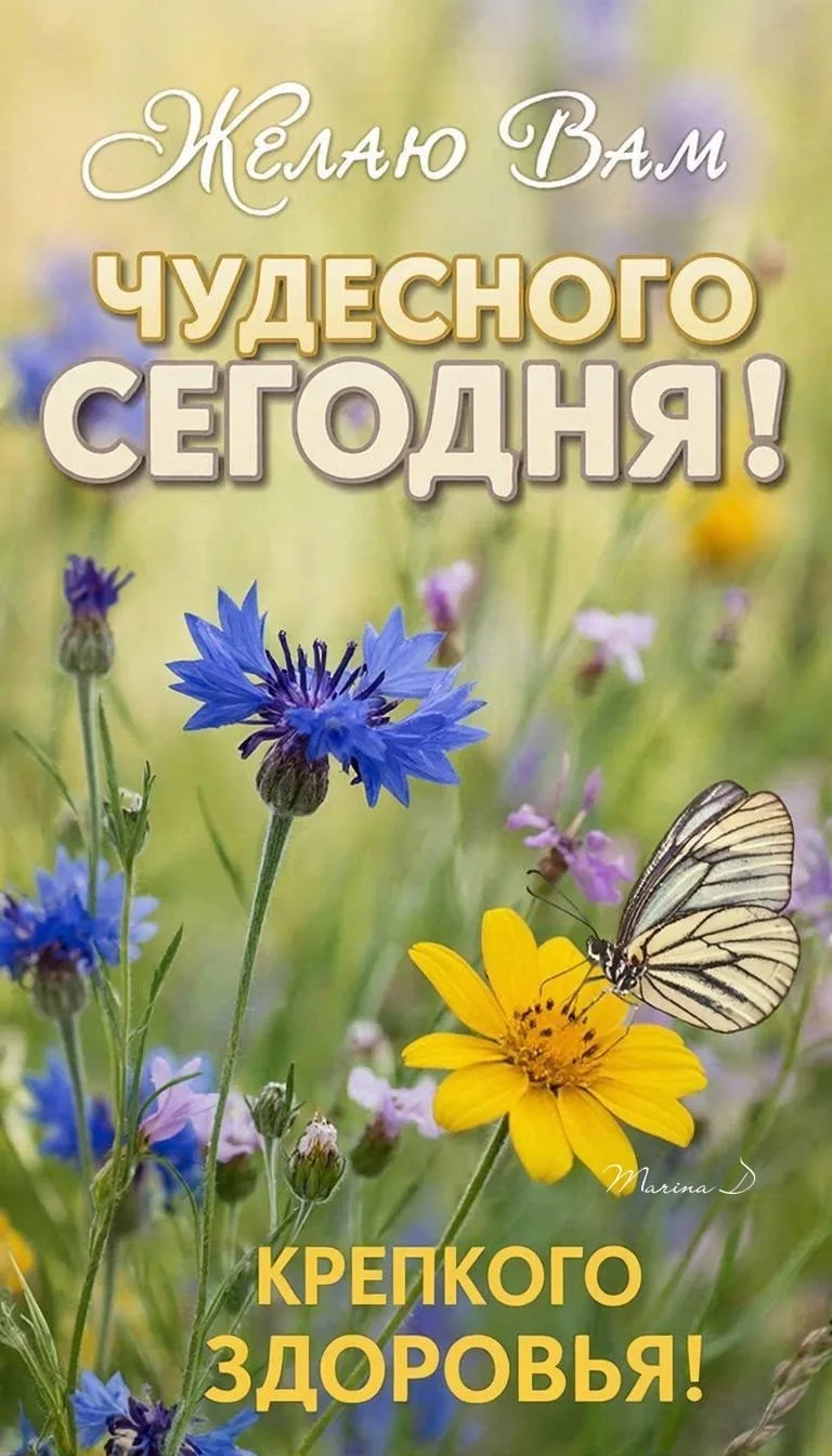 Вам не сложно мне приятно😉
Поставьте реакцию ❤️, если понравилась открытка 🥰

Открытки 💌
👉ПОДПИС