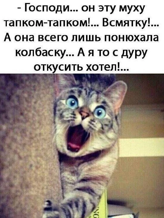 Девчули | Женский юмор 🤣
Подписаться!