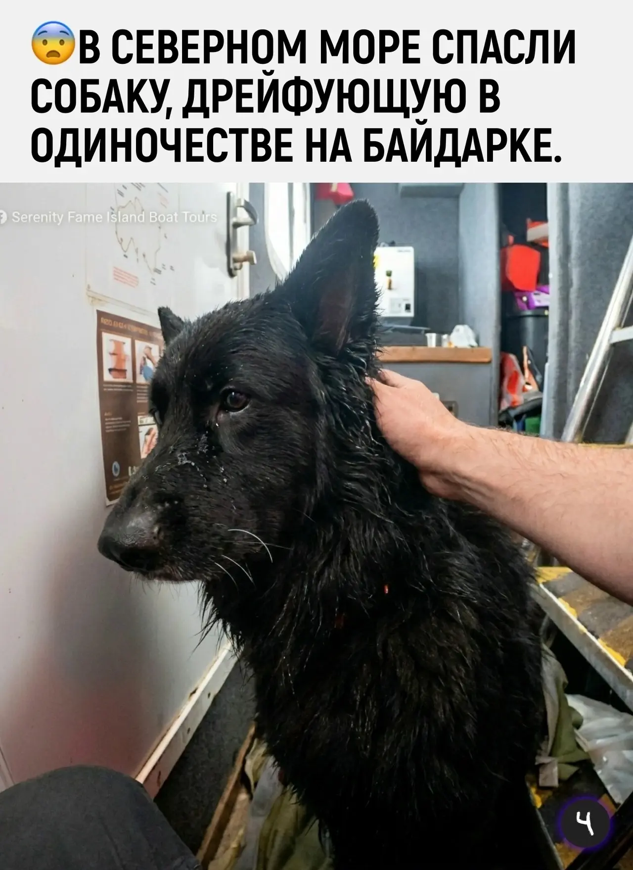 Необычную спасательную операцию провели в акватории Северного моря.