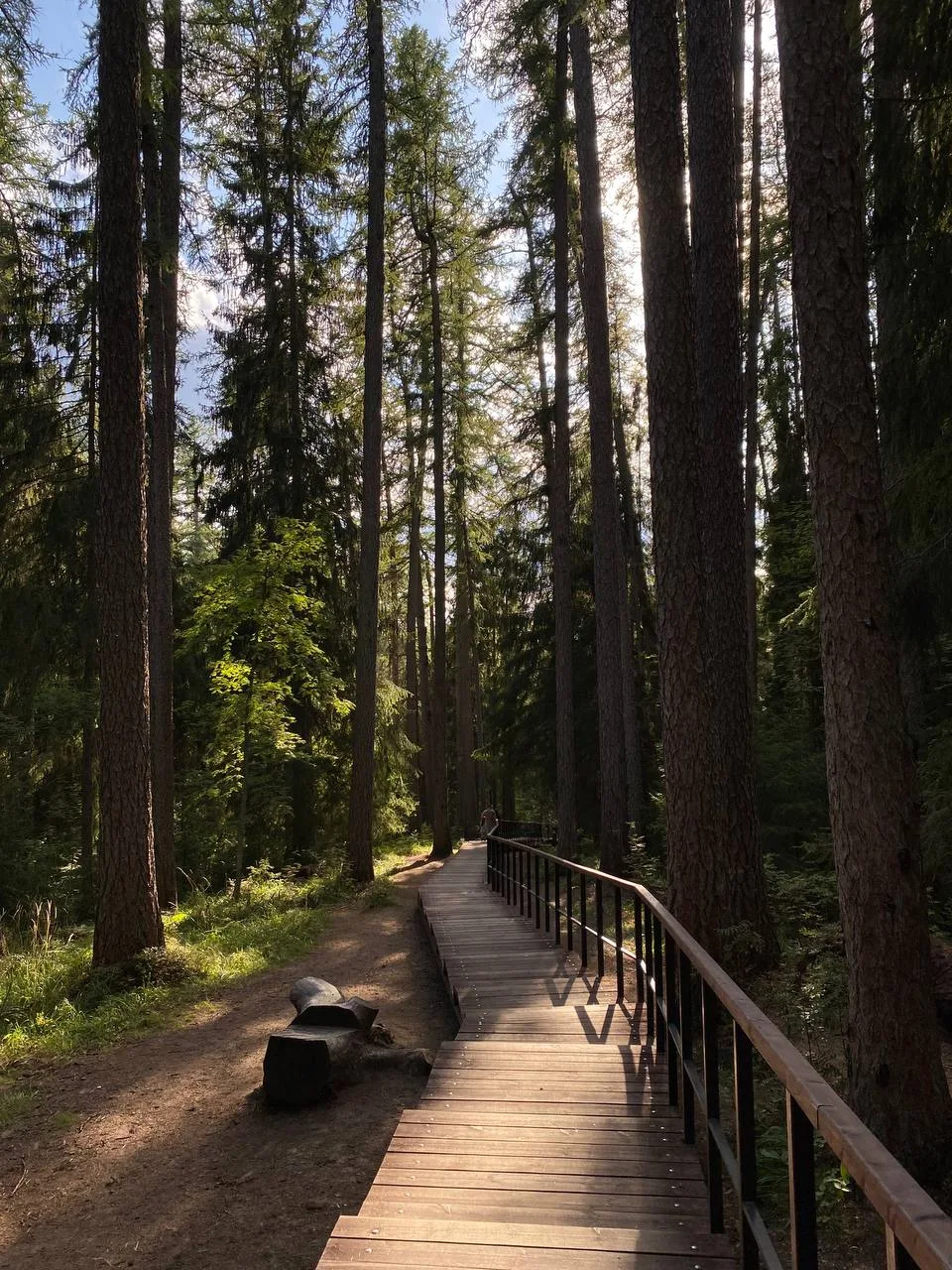 🌳 Успейте выбраться на природу в Линдуловскую рощу!