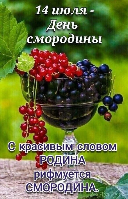 "Смородиновое настроение"

Ребята первой младшей группы №1 и №5 с удовольствием поддержали старинную