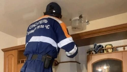 Спасатели Башкирии освободили стрижа
