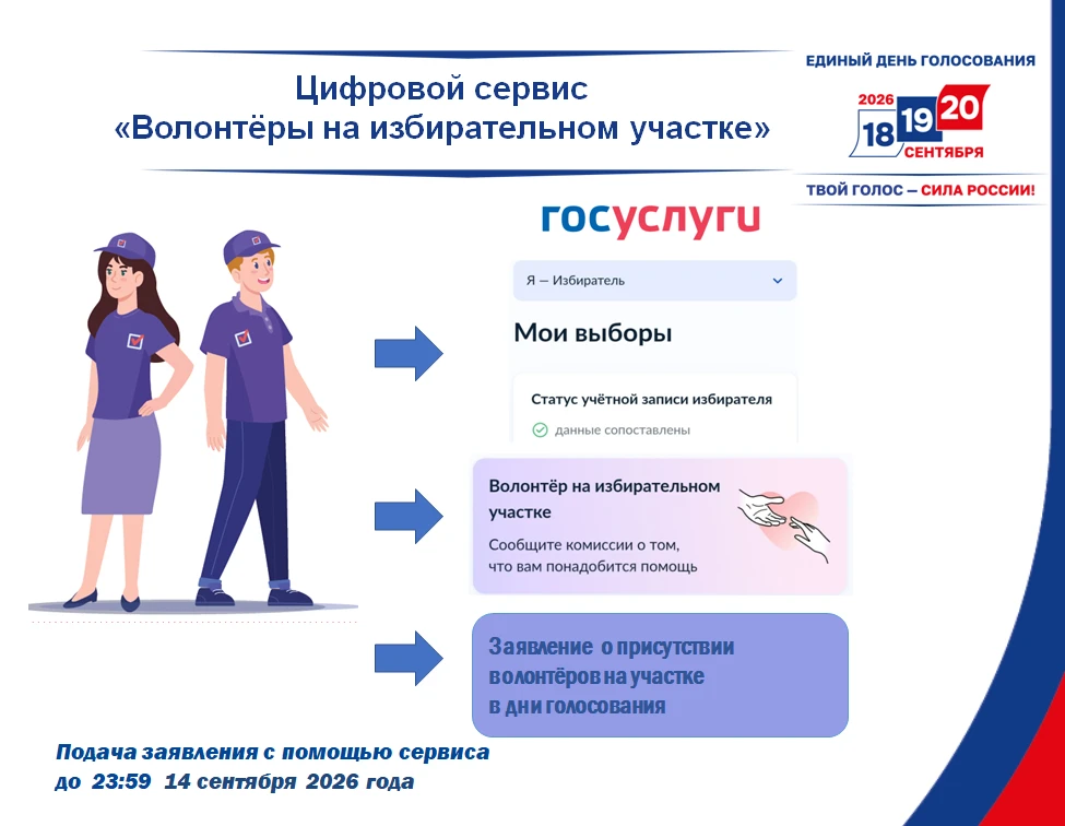 На портале «Госуслуги» начал работу цифровой сервис для помощи избирателям «Волонтёры н...