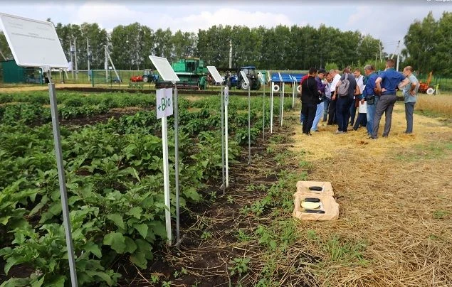🌱 Как биопрепараты меняют экономику и экологию российского растениеводства.
