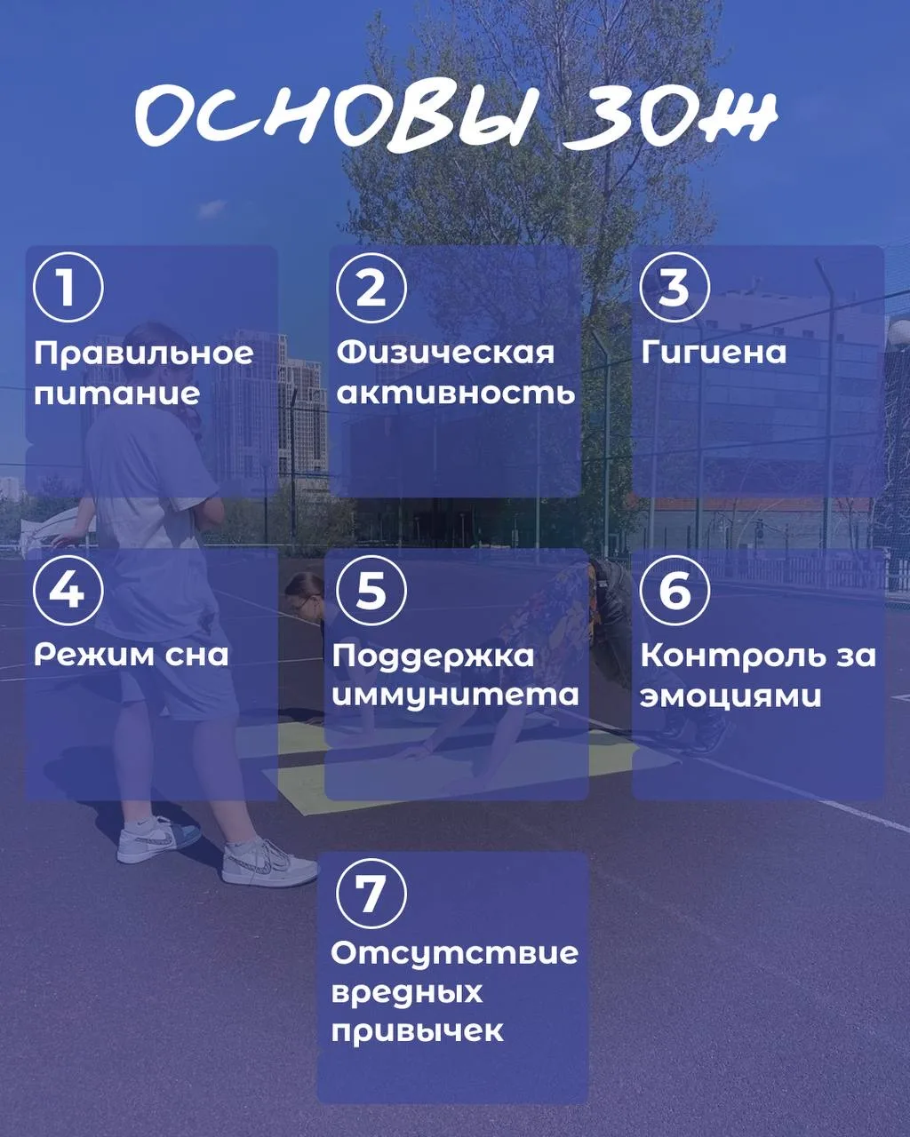 7 базовых вещей для поддержания здорового образа жизни🥑