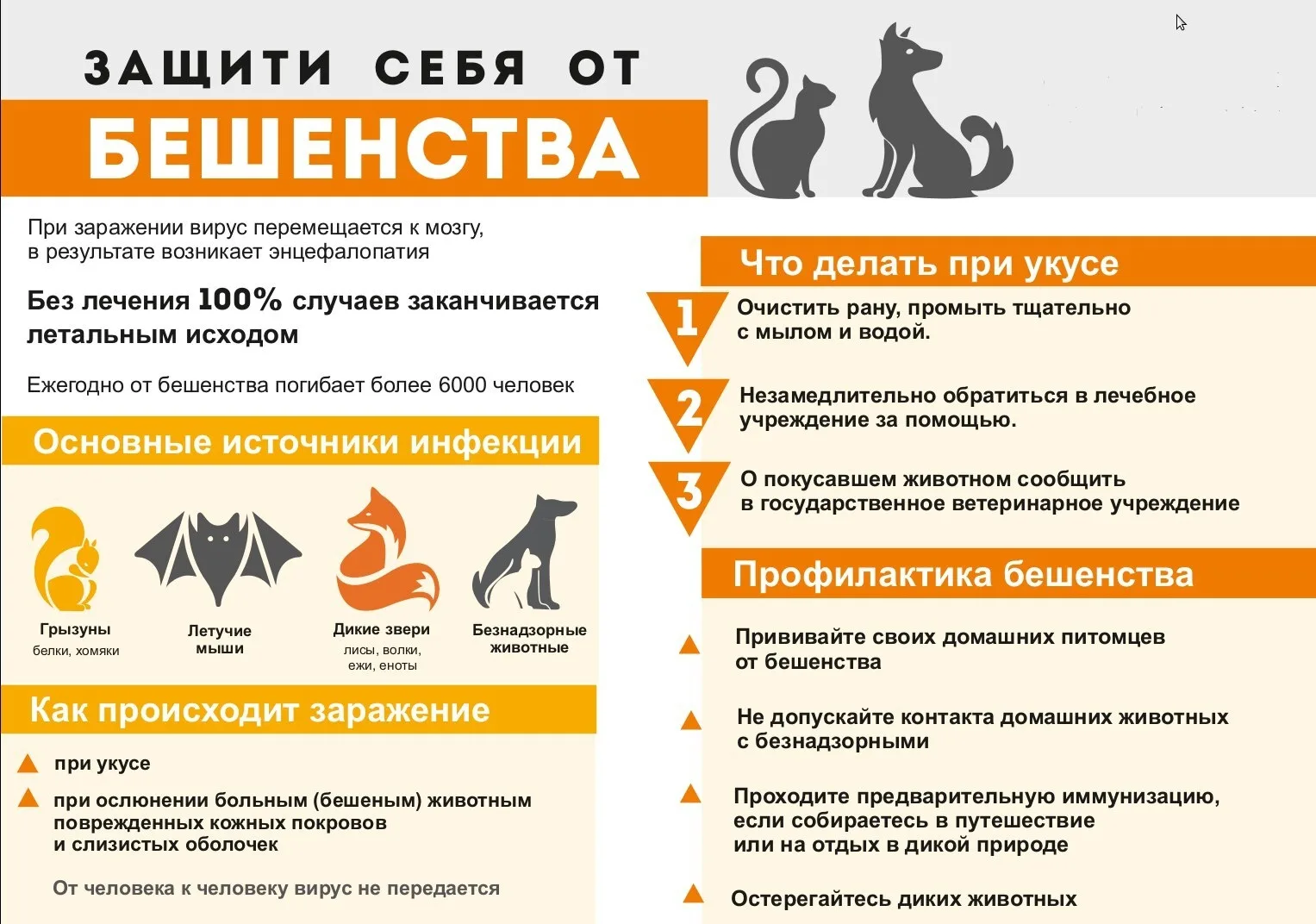 Бешенство — это особо опасная инфекция, которая поражает нервную систему. Прогноз бешенства всегда к