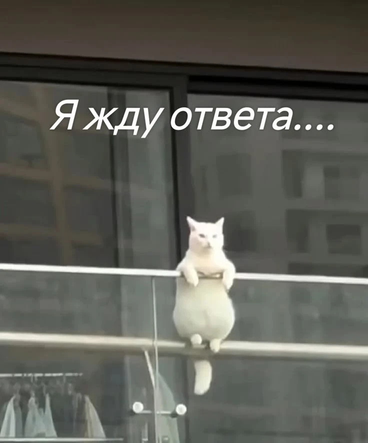 Ребята, всем привет! ❤️